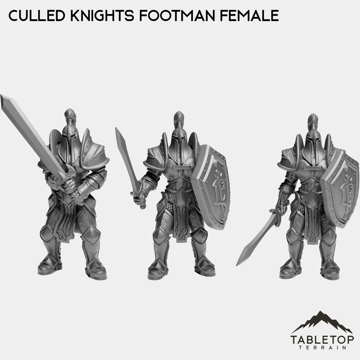 Tabletop Terrain Miniature Full Set Culled Knights Footman Female