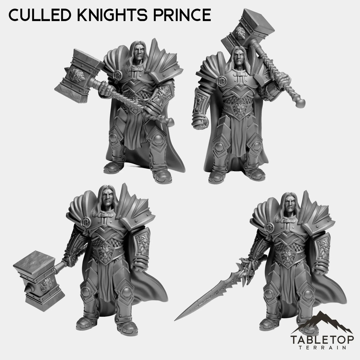 Tabletop Terrain Miniature Full Set Culled Knights Prince