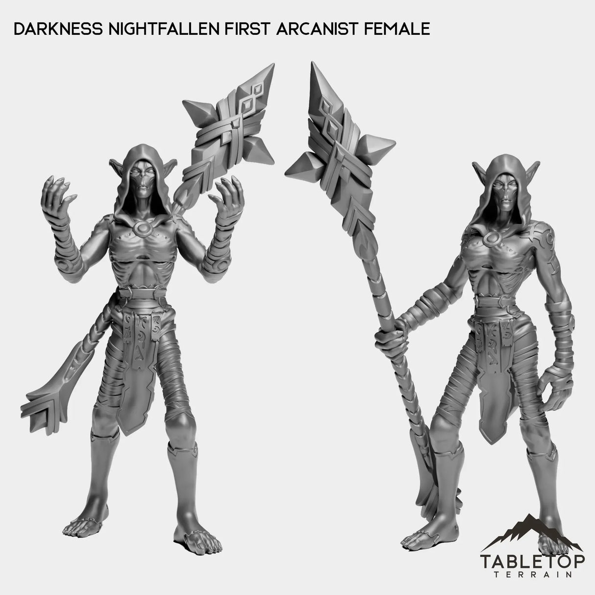 Tabletop Terrain Miniature Full Set Darkness Nightfallen First Arcanist Female