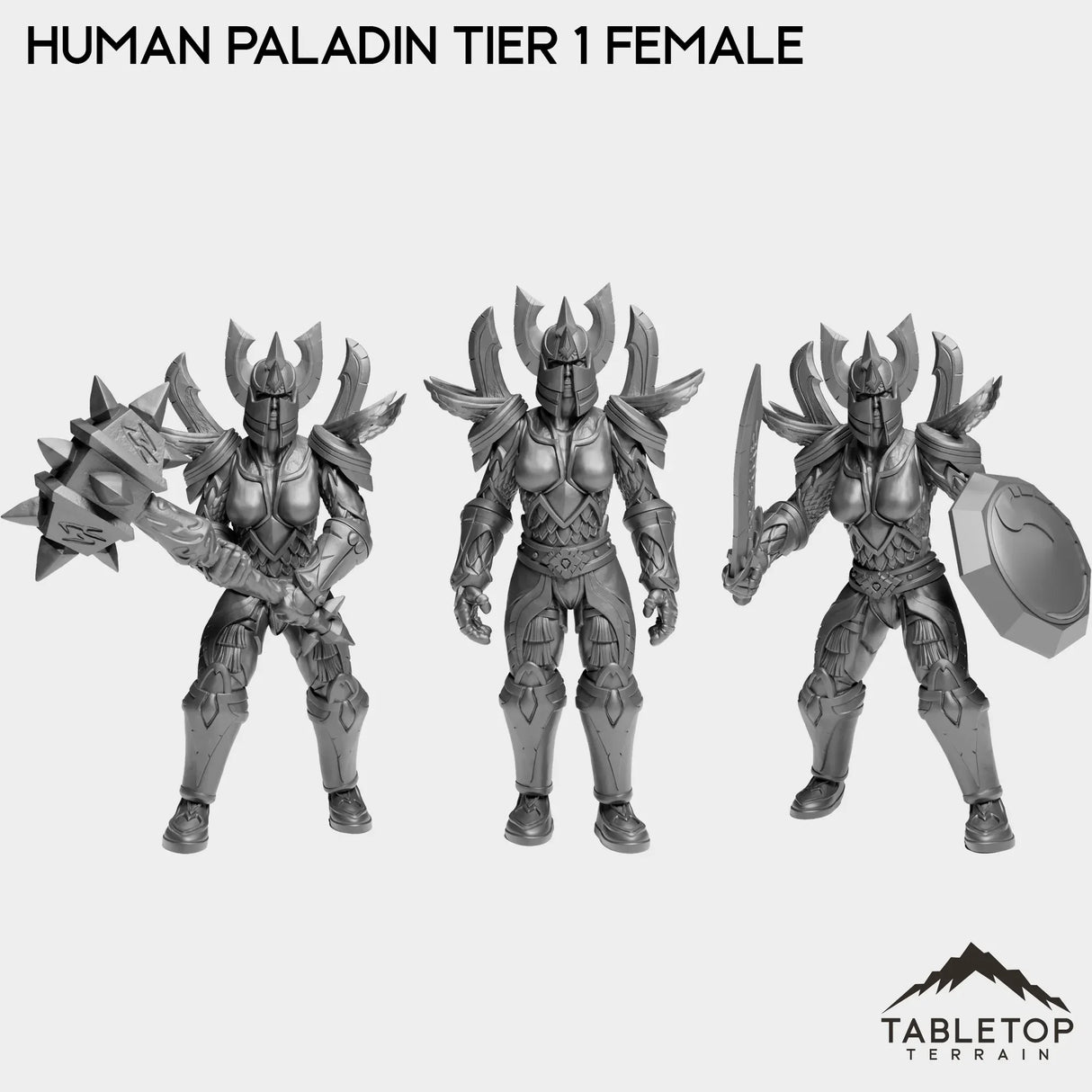 Tabletop Terrain Miniature Full Set Human Paladin Tier 1 Female