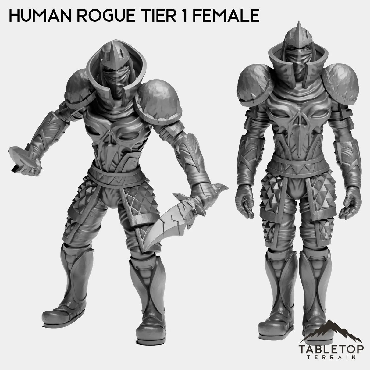 Tabletop Terrain Miniature Full Set Human Rogue Tier 1 Female
