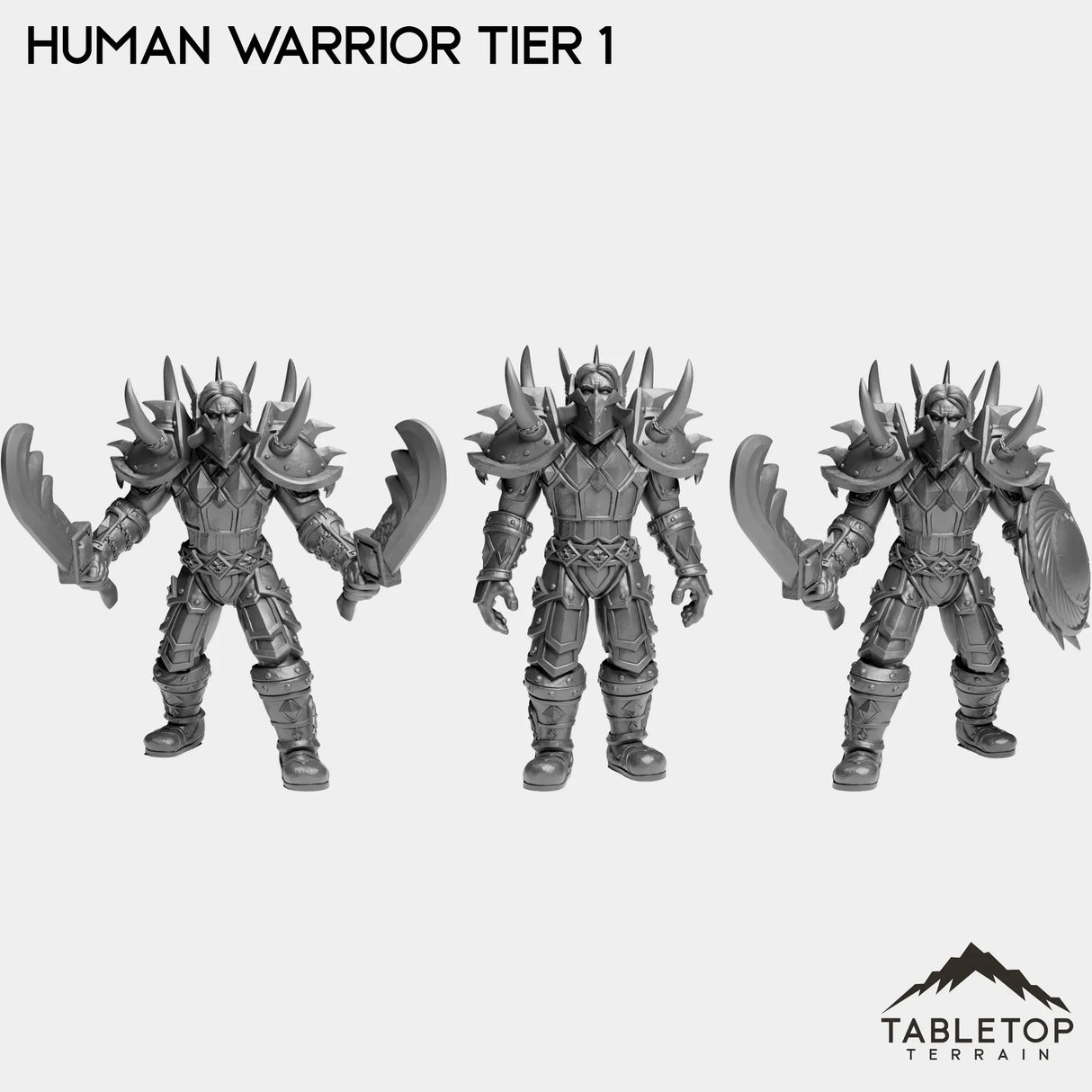 Tabletop Terrain Miniature Full Set Human Warrior Tier 1