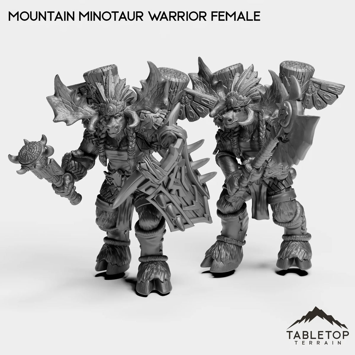 Tabletop Terrain Miniature Full Set Mountain Minotaur Warrior Female