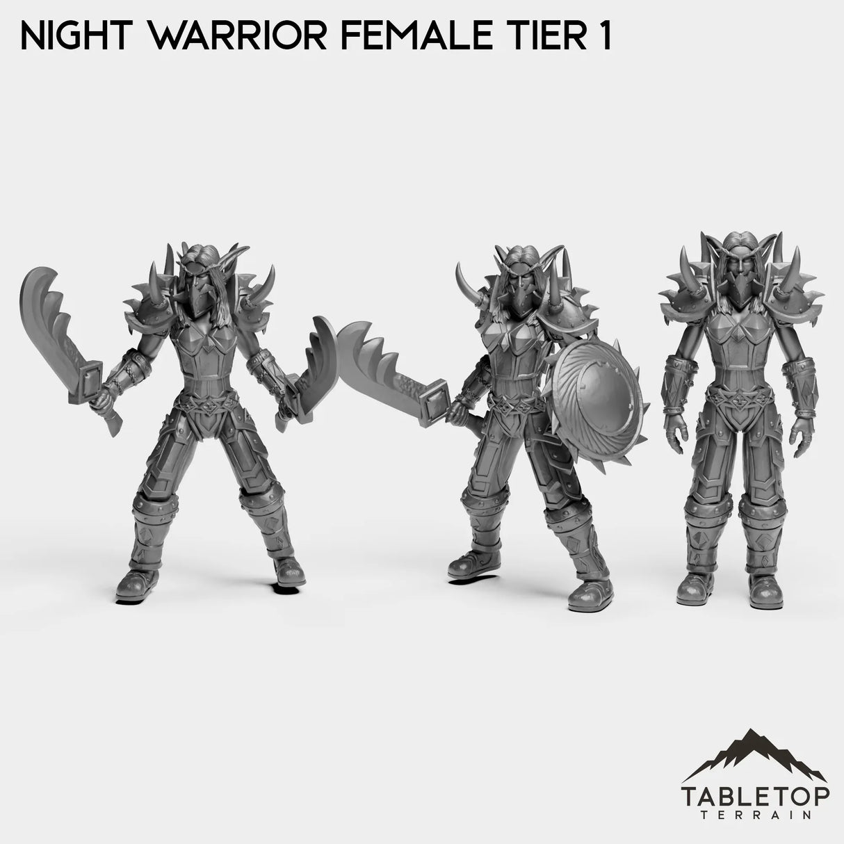 Tabletop Terrain Miniature Full Set Night Warrior Female Tier 1