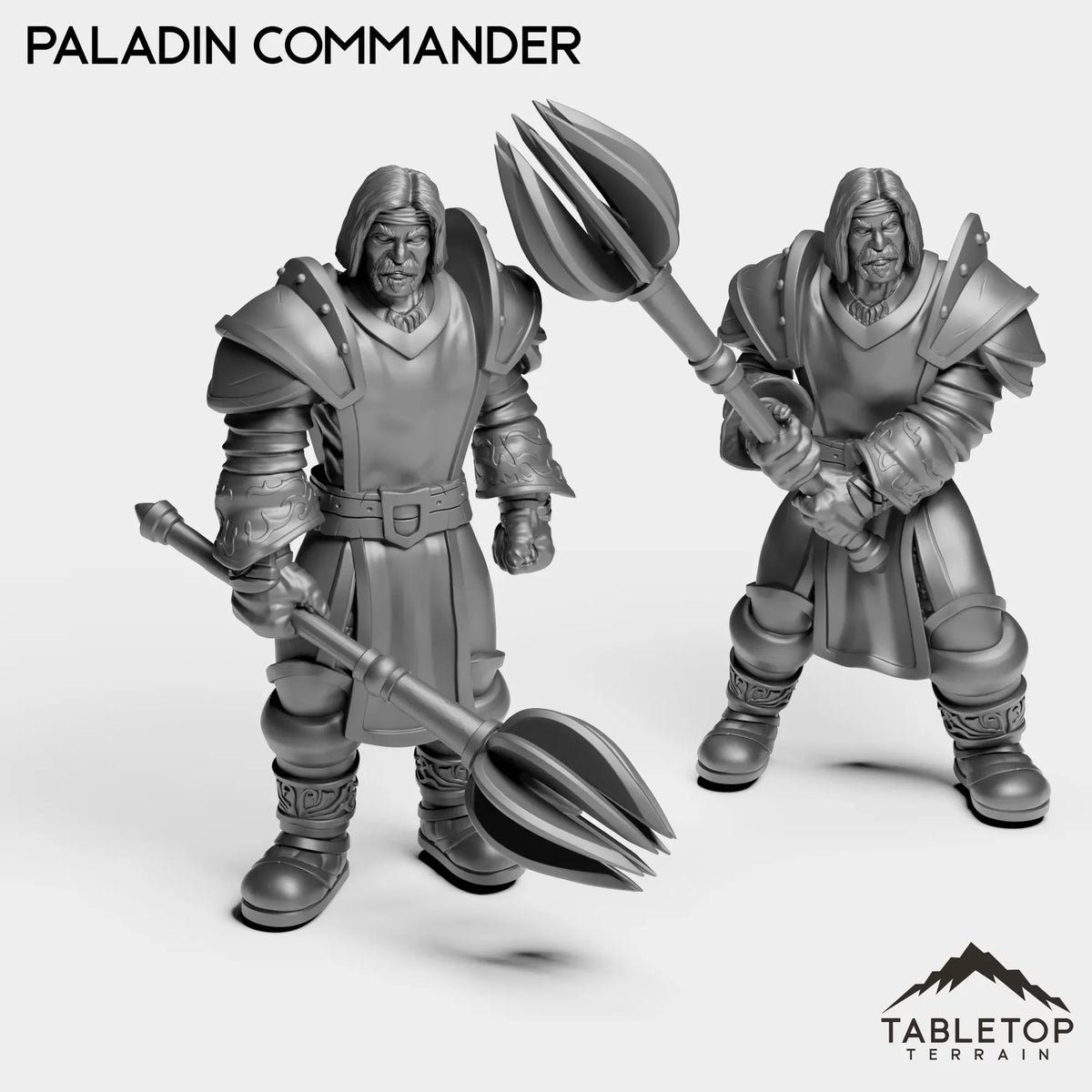 Tabletop Terrain Miniature Full Set Paladin Commander