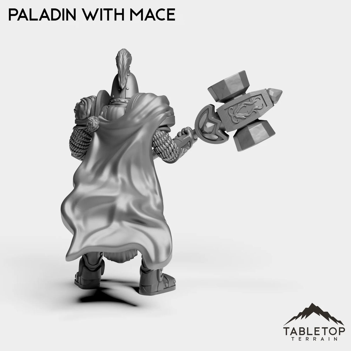 Tabletop Terrain Miniature Human Paladin