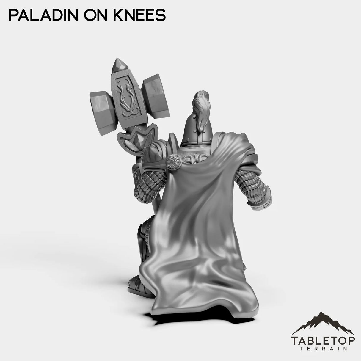 Tabletop Terrain Miniature Human Paladin