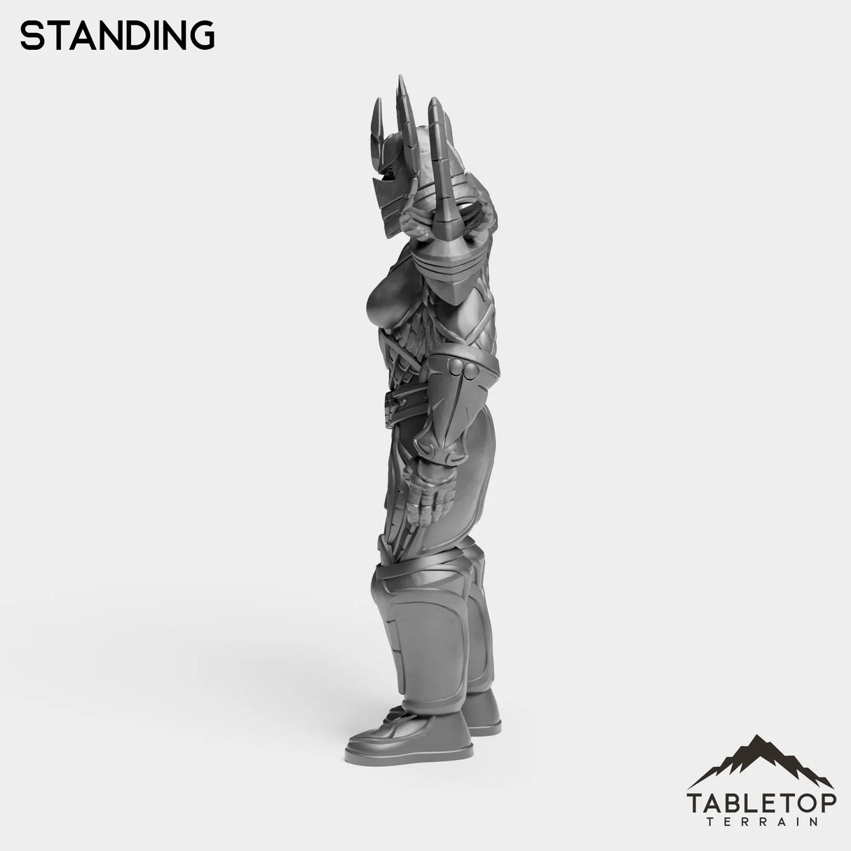 Tabletop Terrain Miniature Human Paladin Tier 1 Female