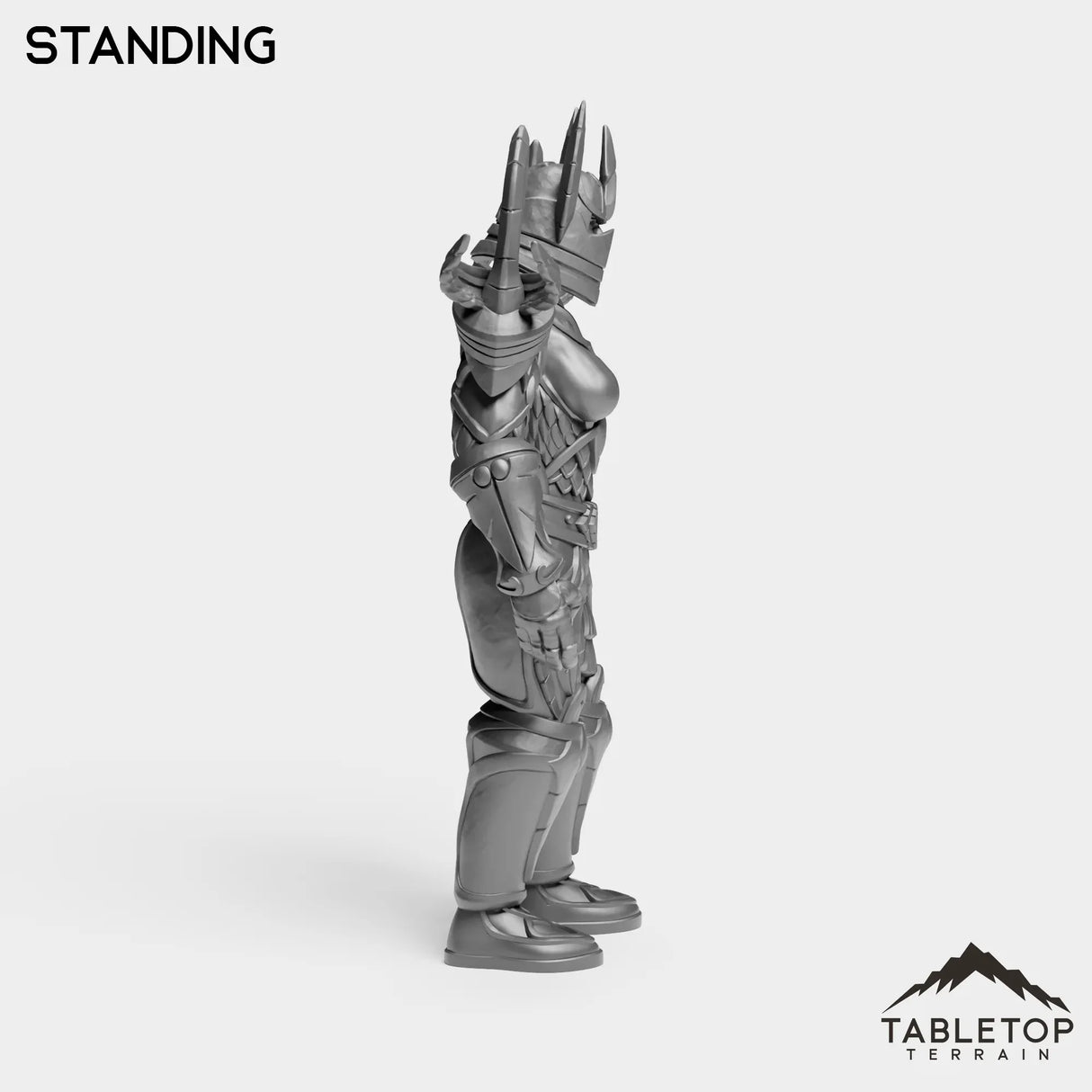 Tabletop Terrain Miniature Human Paladin Tier 1 Female