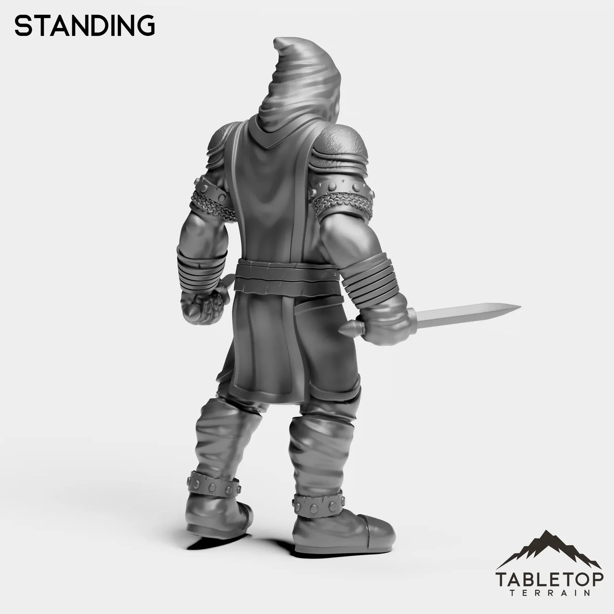 Tabletop Terrain Miniature Interrogator