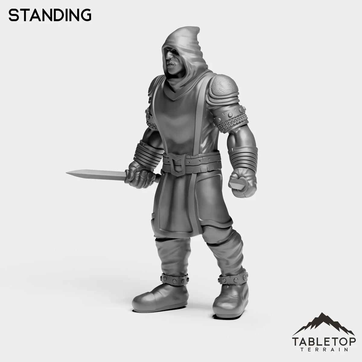 Tabletop Terrain Miniature Interrogator