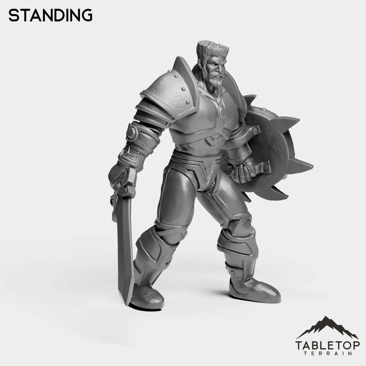 Tabletop Terrain Miniature Knight Understudy