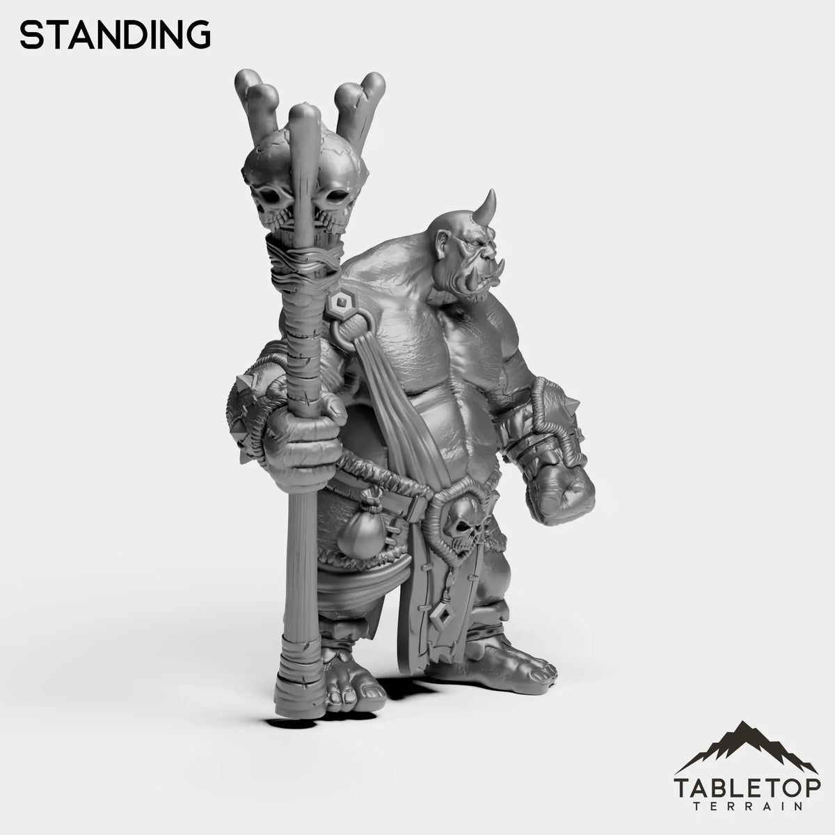 Tabletop Terrain Miniature Ogre Magi 1