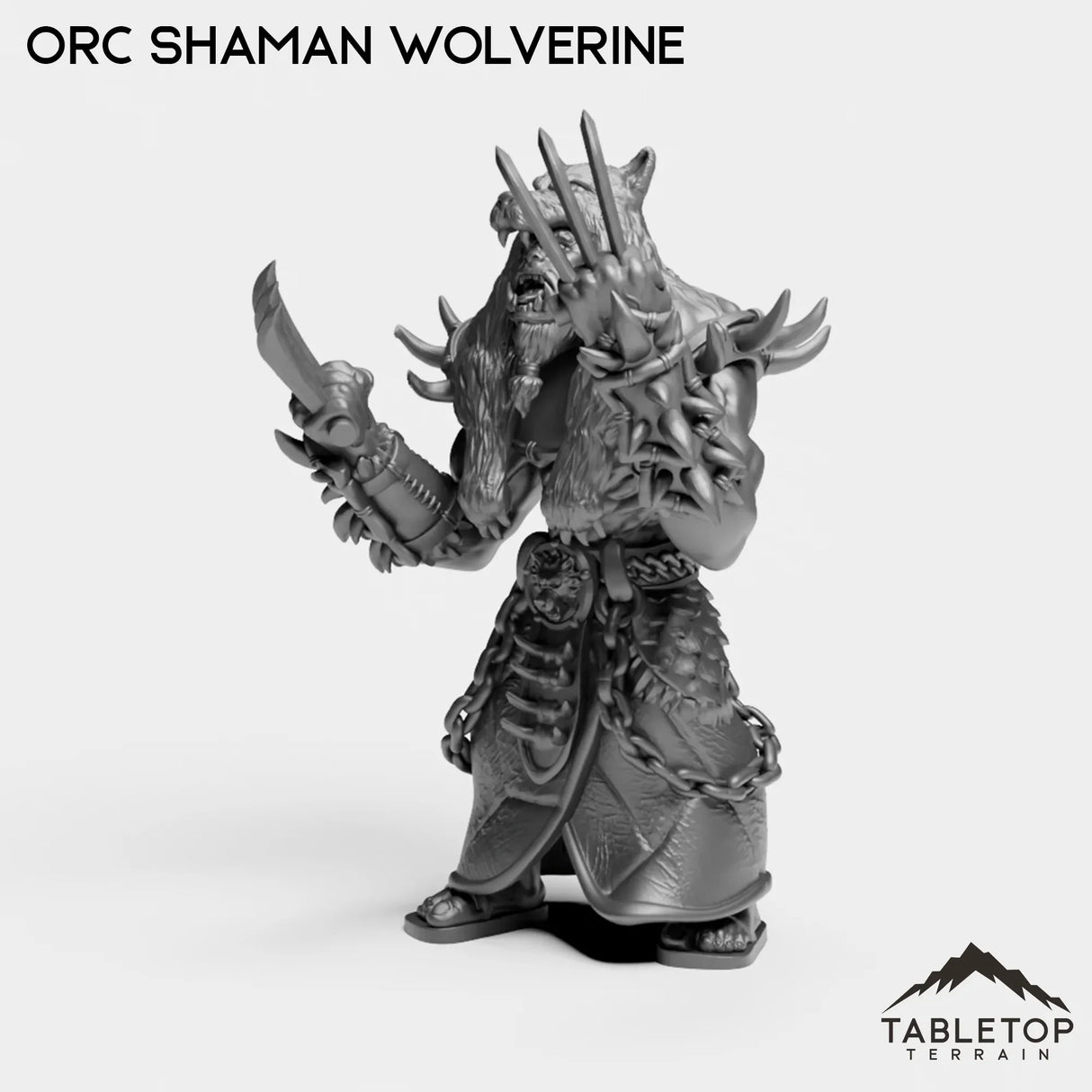 Tabletop Terrain Miniature Orc Shaman Wolverine