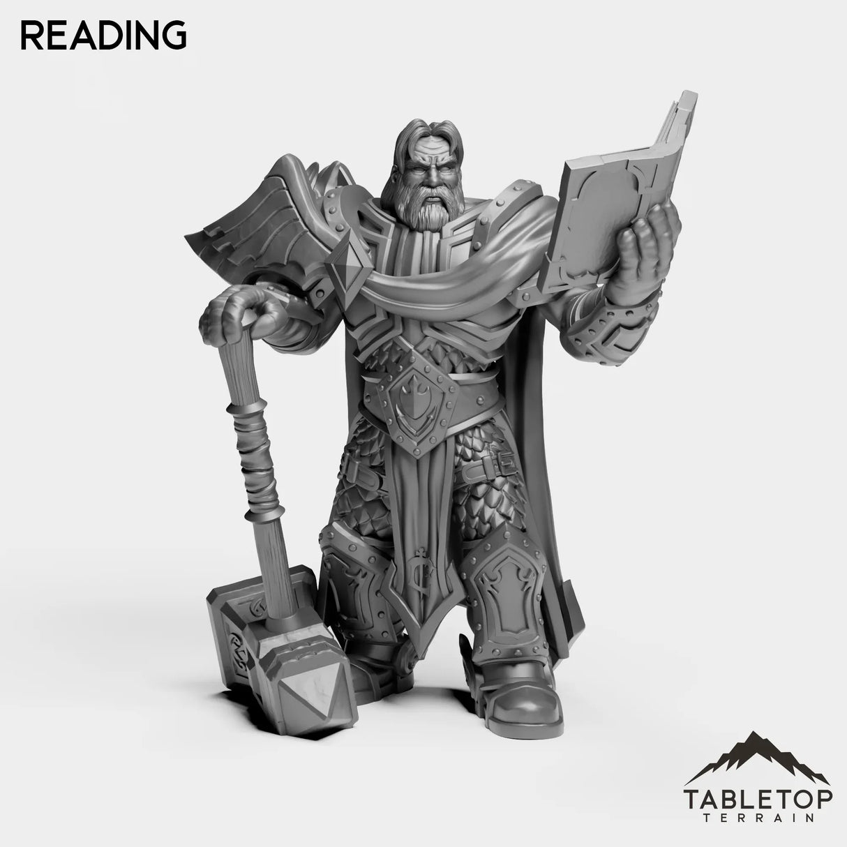 Tabletop Terrain Miniature Reading Silver Paladin Lightbearer
