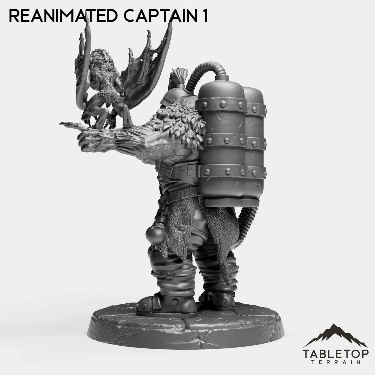 Tabletop Terrain Miniature Reanimated Captain - Alchemical Satrapy