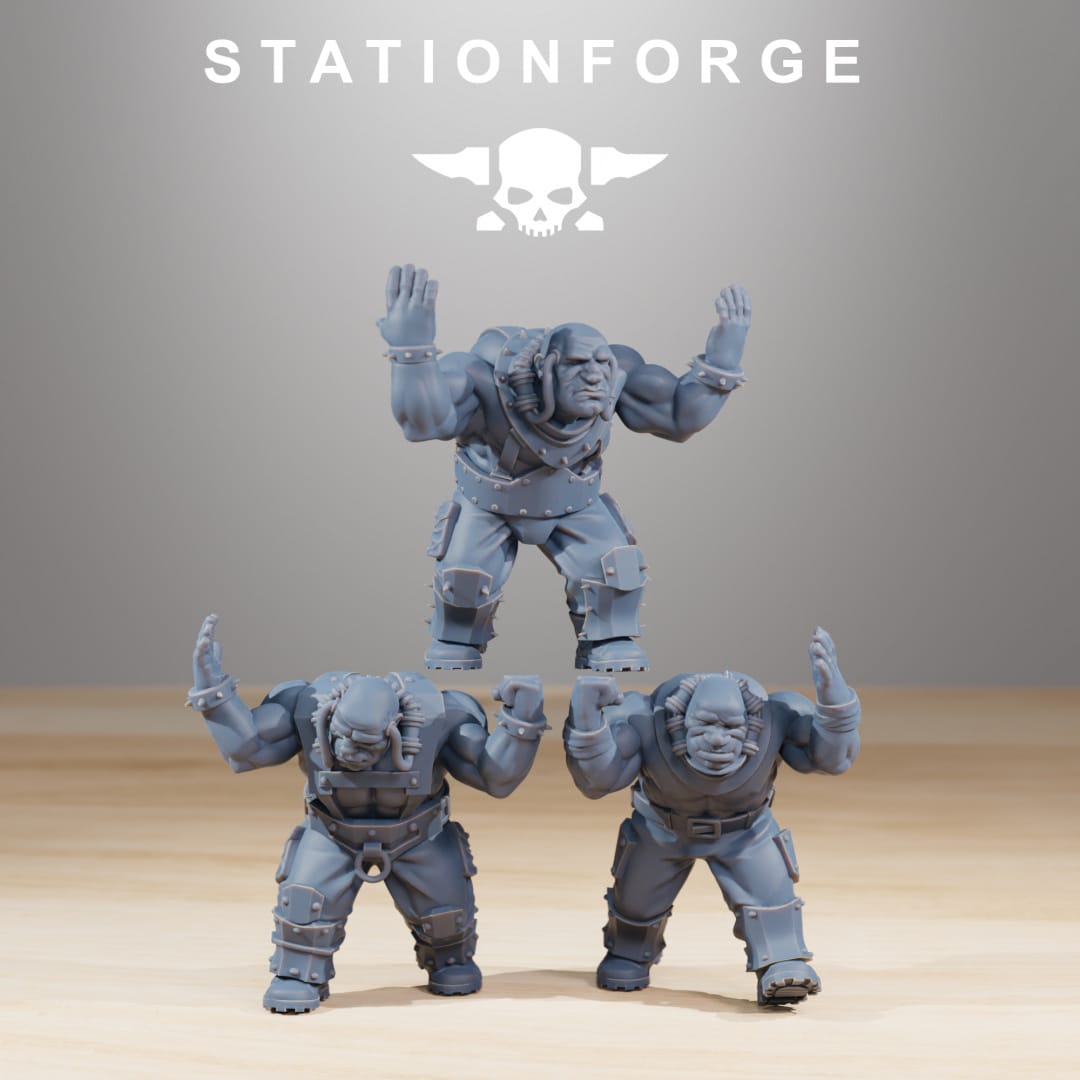 Tabletop Terrain Miniature RoyalGuard Royals