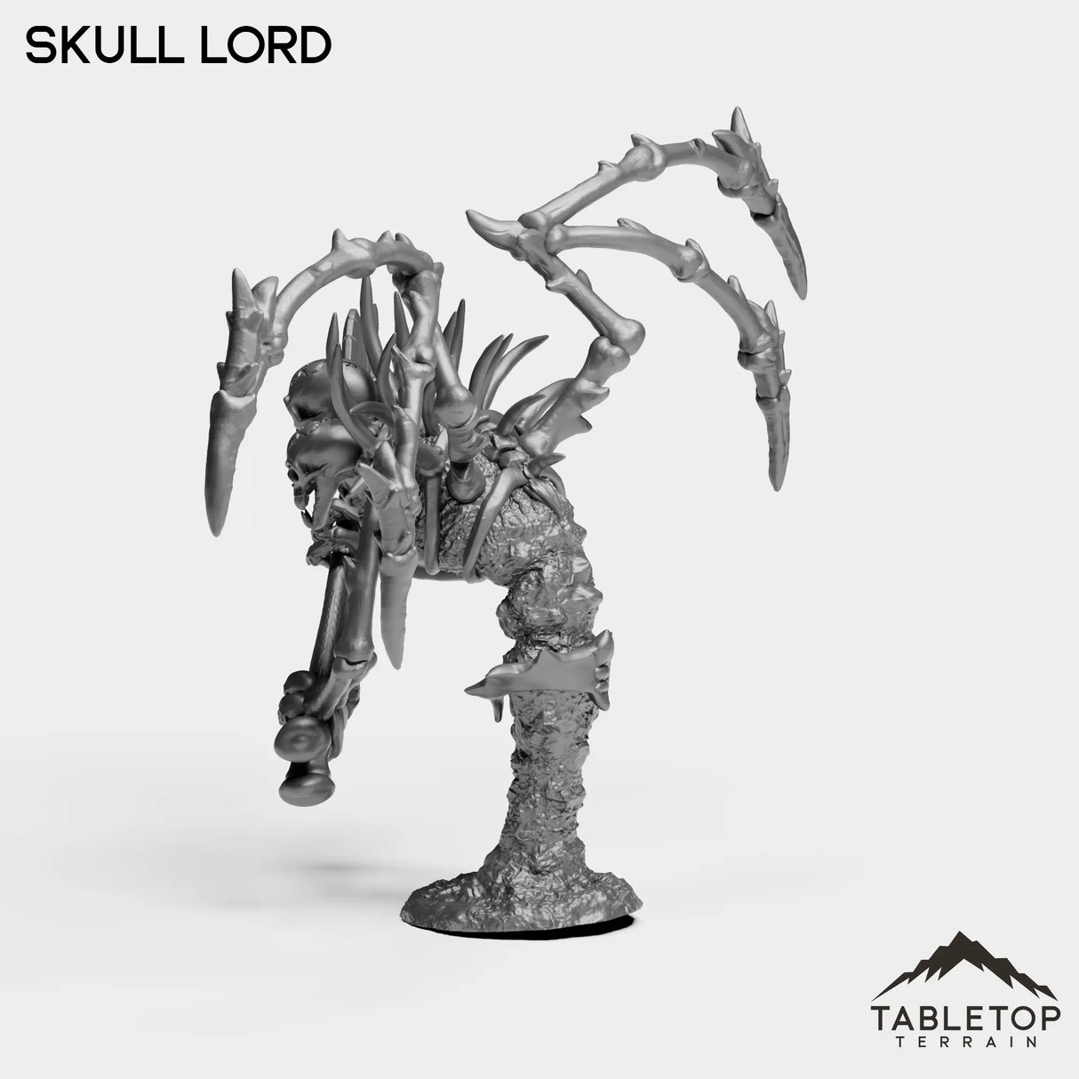 Tabletop Terrain Miniature Skull Lord