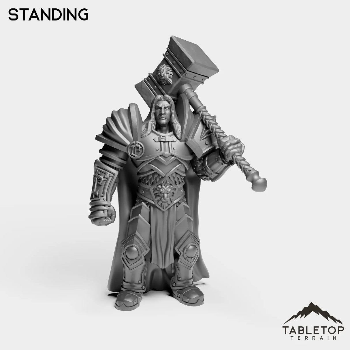 Tabletop Terrain Miniature Standing Culled Knights Prince