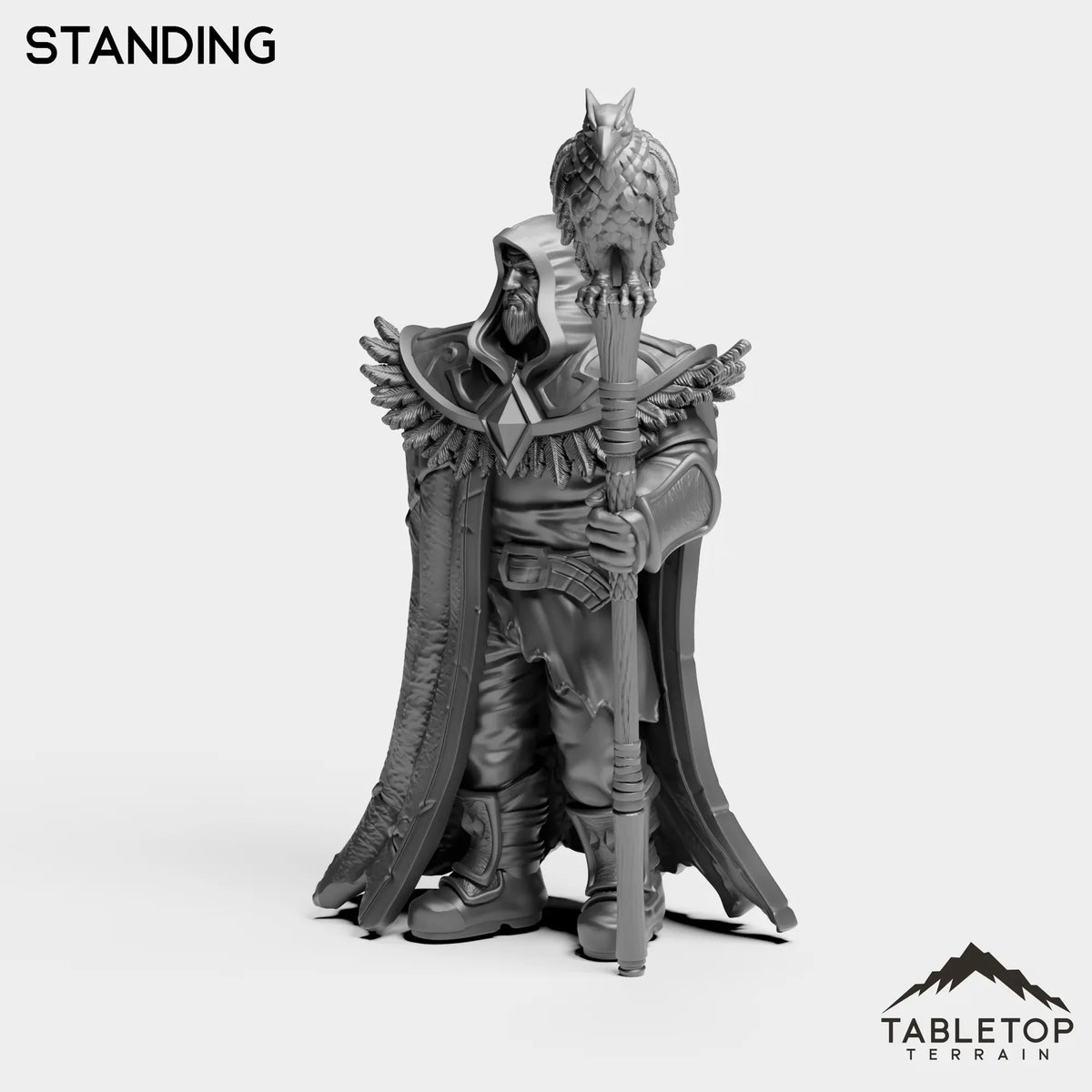 Tabletop Terrain Miniature Standing Wizard Medgar