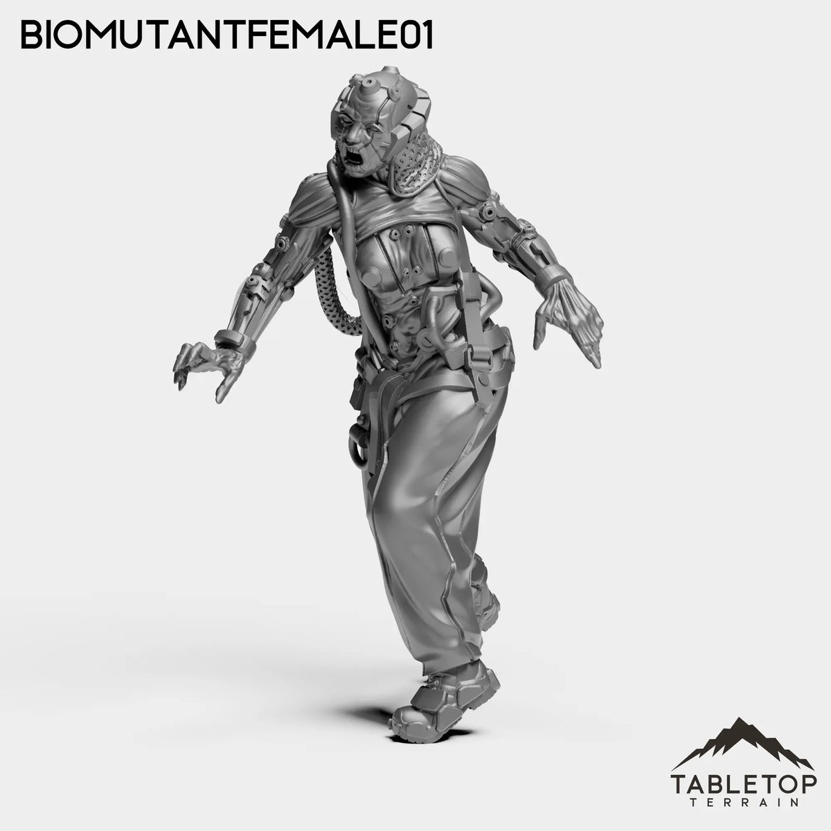 Tabletop Terrain Miniature SubjectONE-F - MISC