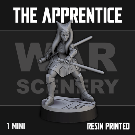 Tabletop Terrain Miniature The Apprentice