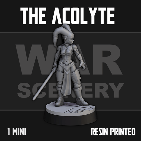 Tabletop Terrain Miniature The Dark Acolyte