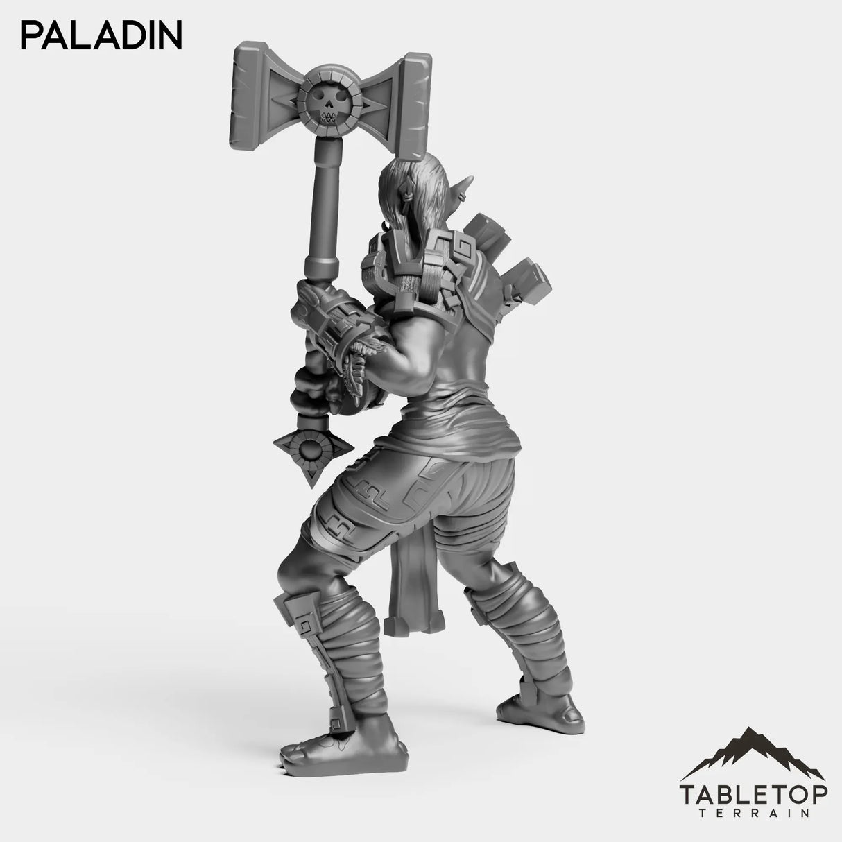 Tabletop Terrain Miniature Troll Heritage Paladin Female