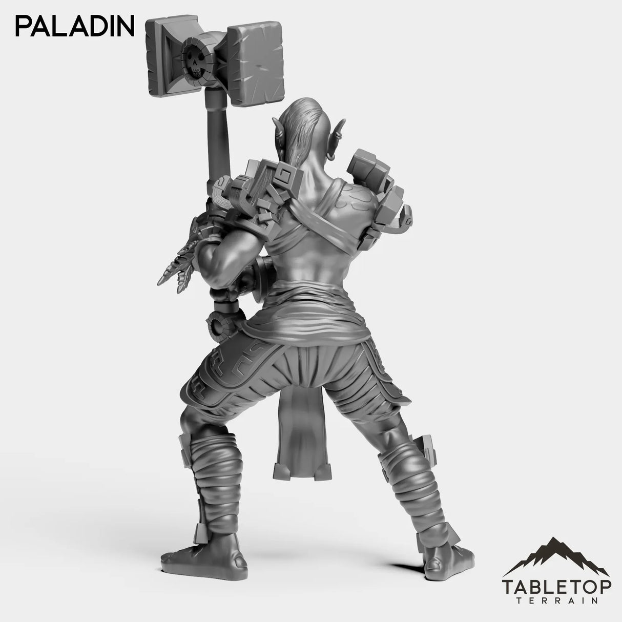 Tabletop Terrain Miniature Troll Heritage Paladin Female