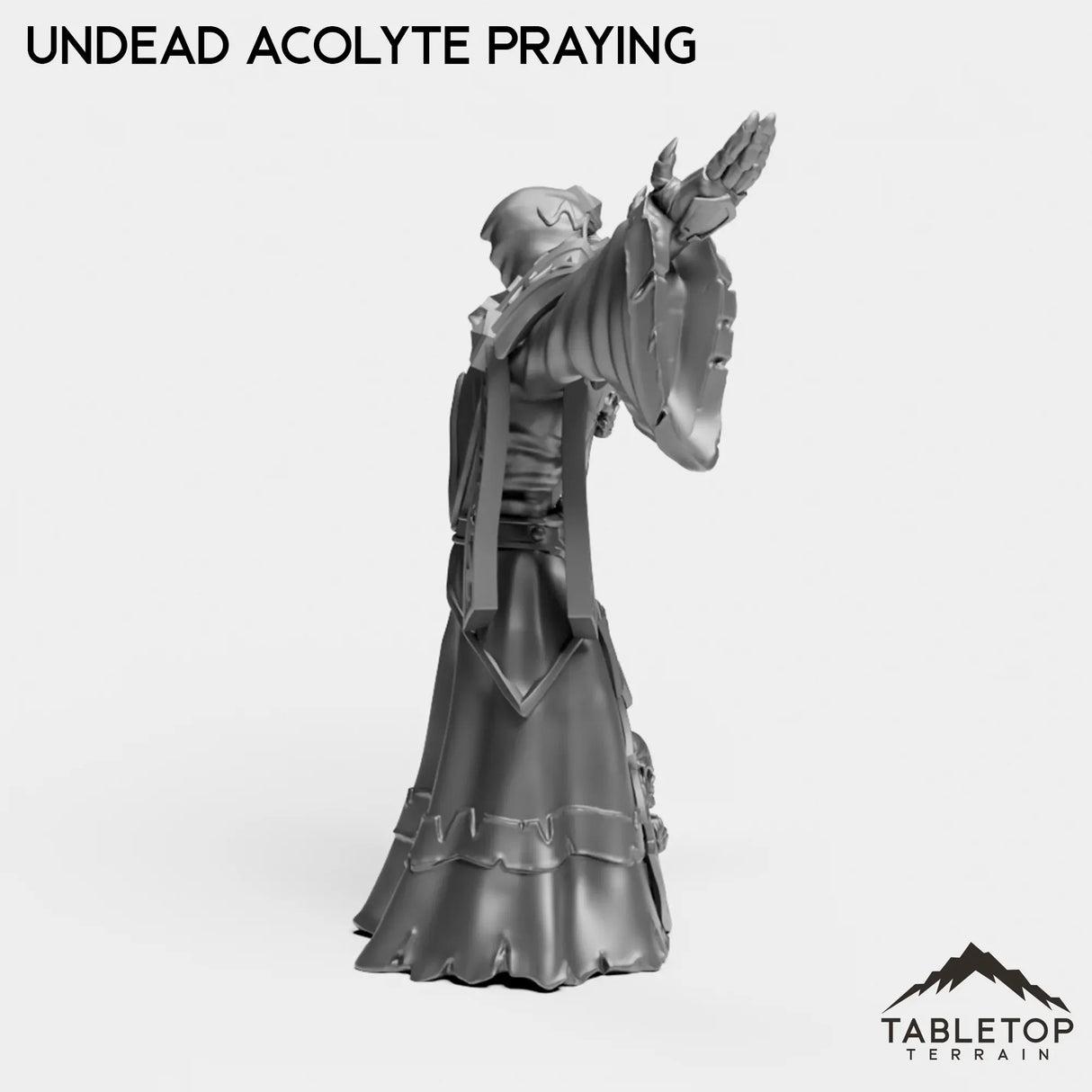 Tabletop Terrain Miniature Undead Acolytes