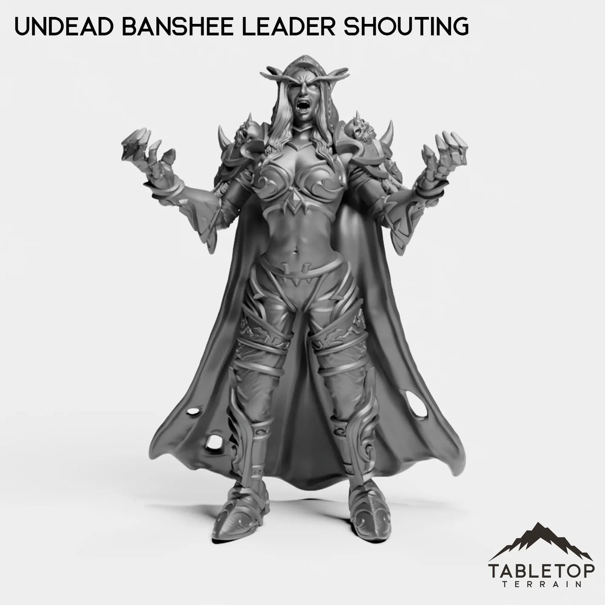 Tabletop Terrain Miniature Undead Banshee Leader Shouting Undead Banshee Leader