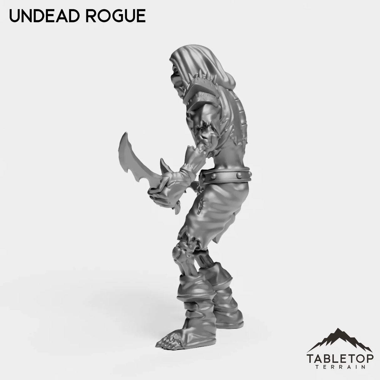 Tabletop Terrain Miniature Undead Basic Rogue