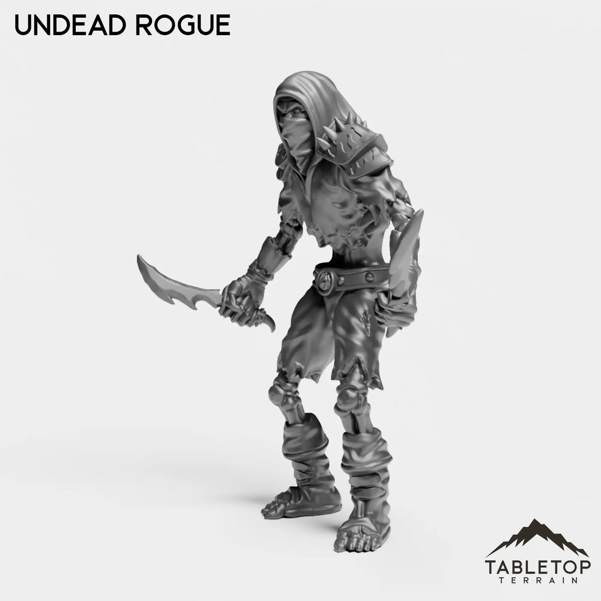 Tabletop Terrain Miniature Undead Basic Rogue