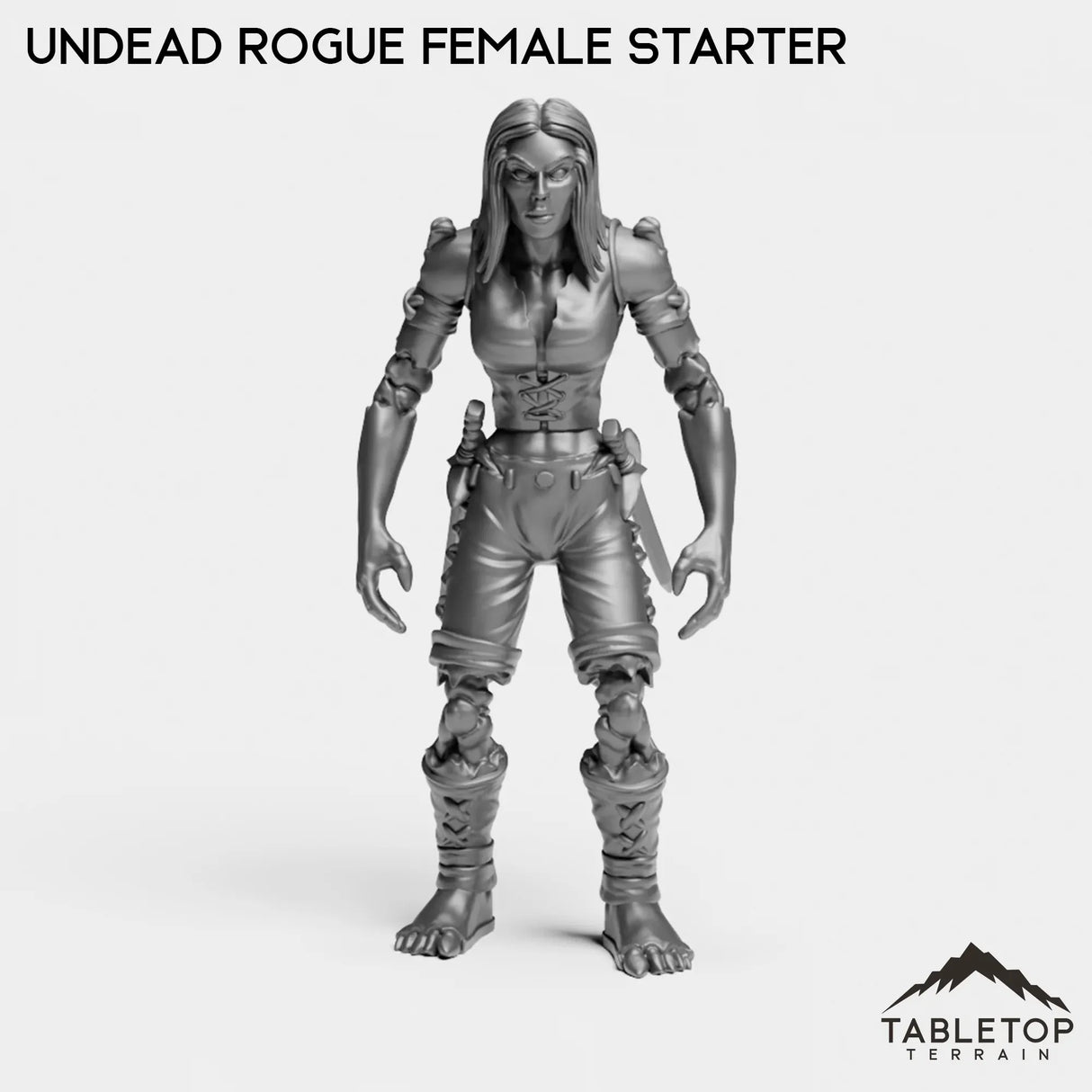 Tabletop Terrain Miniature Undead Rogue Female Starter Undead Starters Female