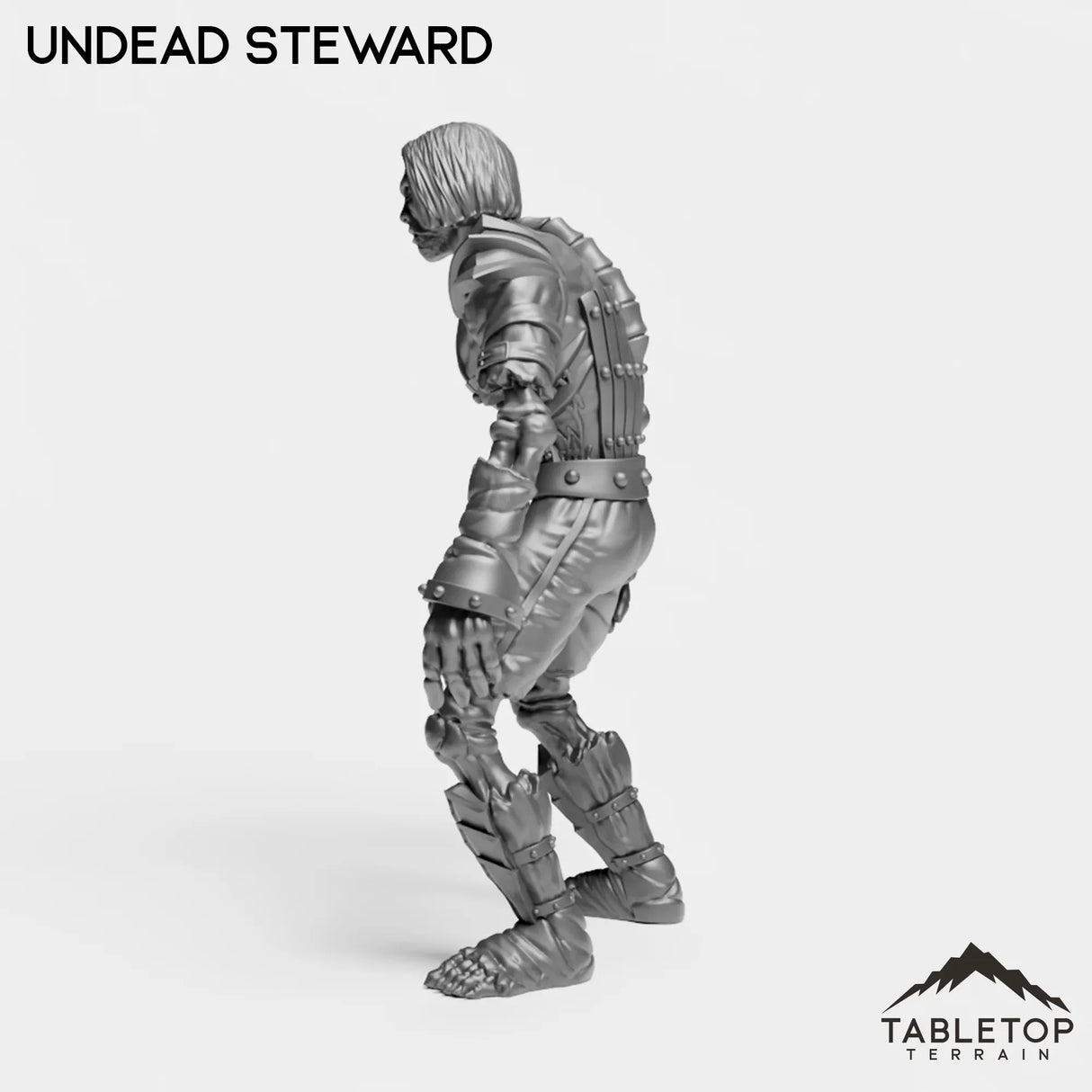 Tabletop Terrain Miniature Undead Steward