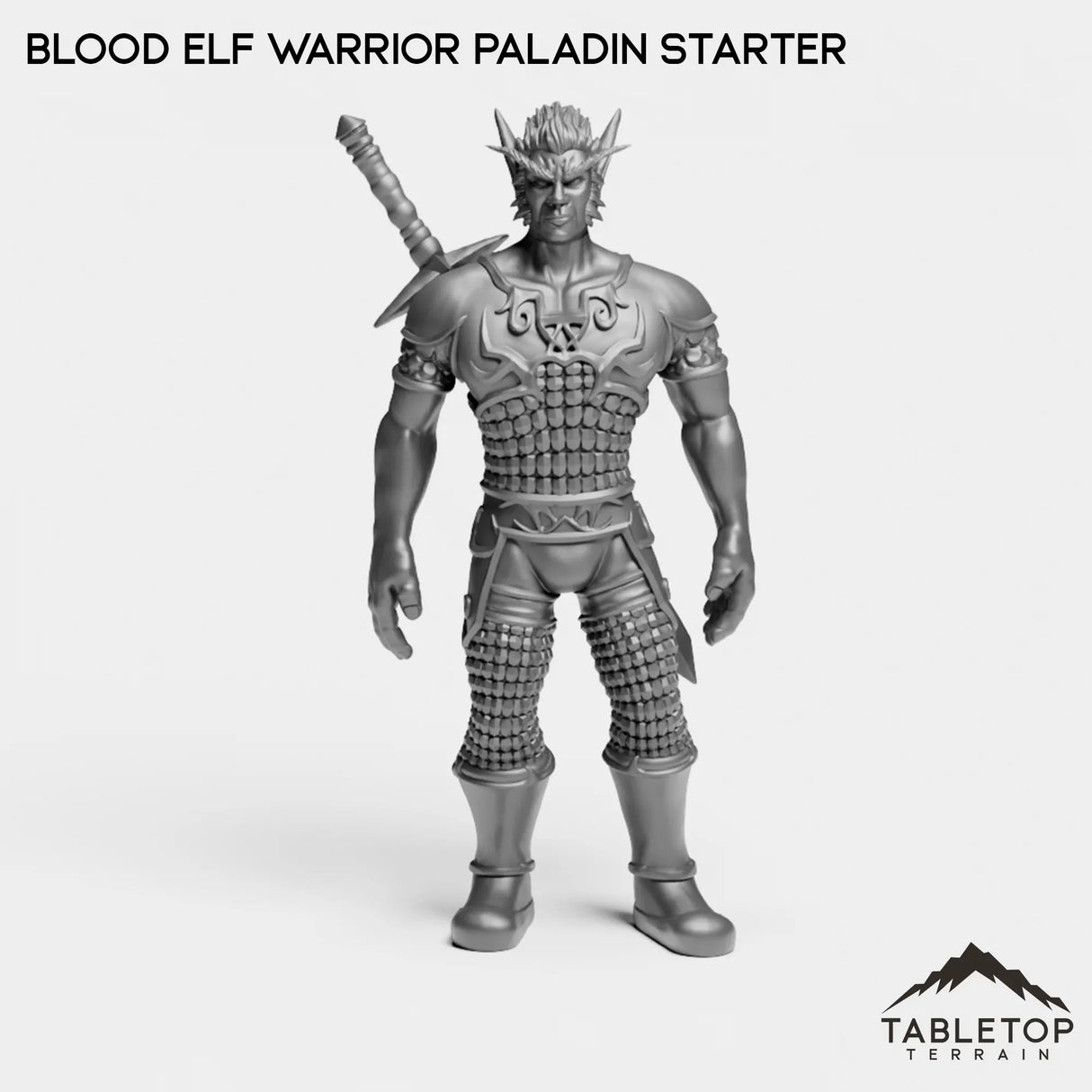 Tabletop Terrain Miniature Warrior Paladin Blood Elf Starters