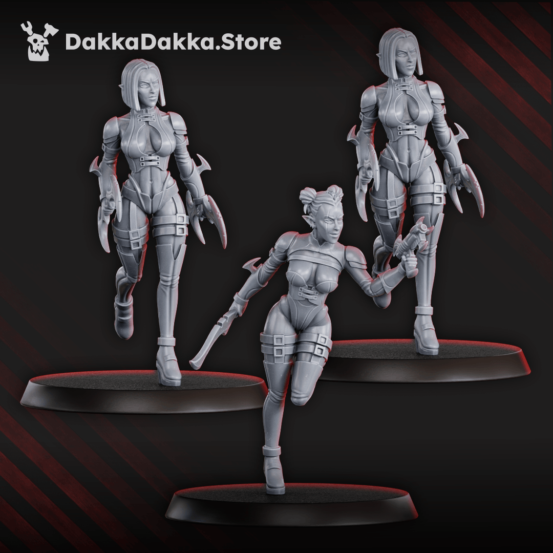 Tabletop Terrain Miniature Witches of the Alves Night Raiders