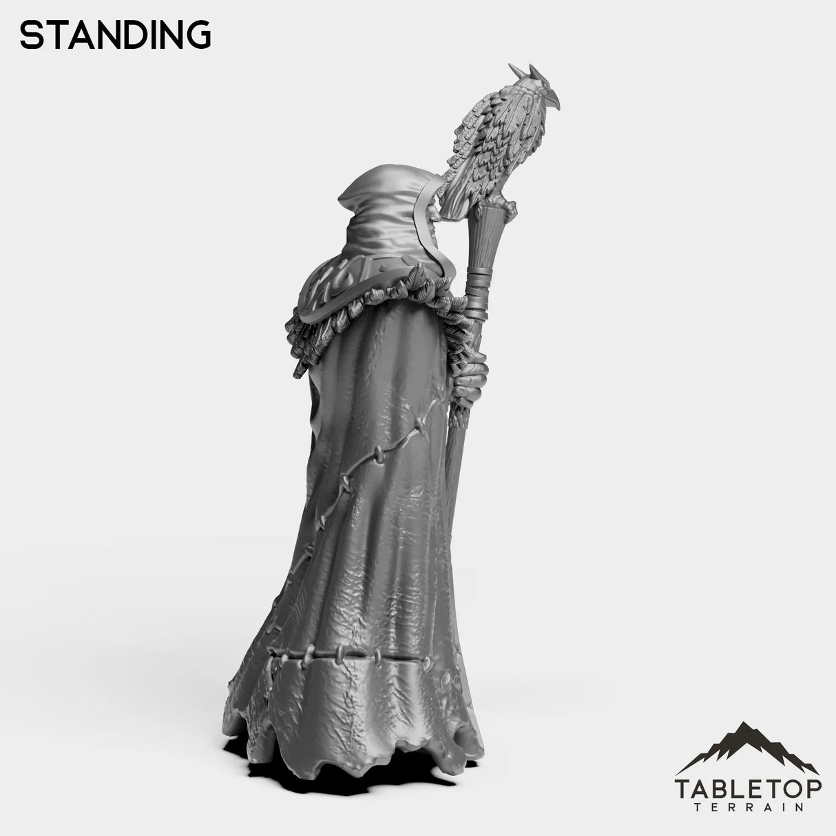 Tabletop Terrain Miniature Wizard Medgar