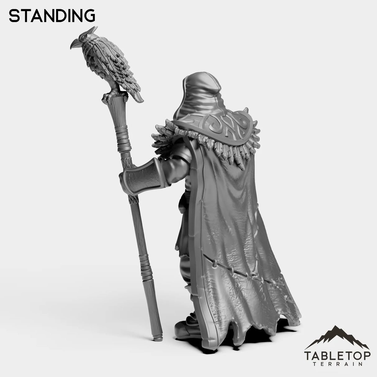 Tabletop Terrain Miniature Wizard Medgar