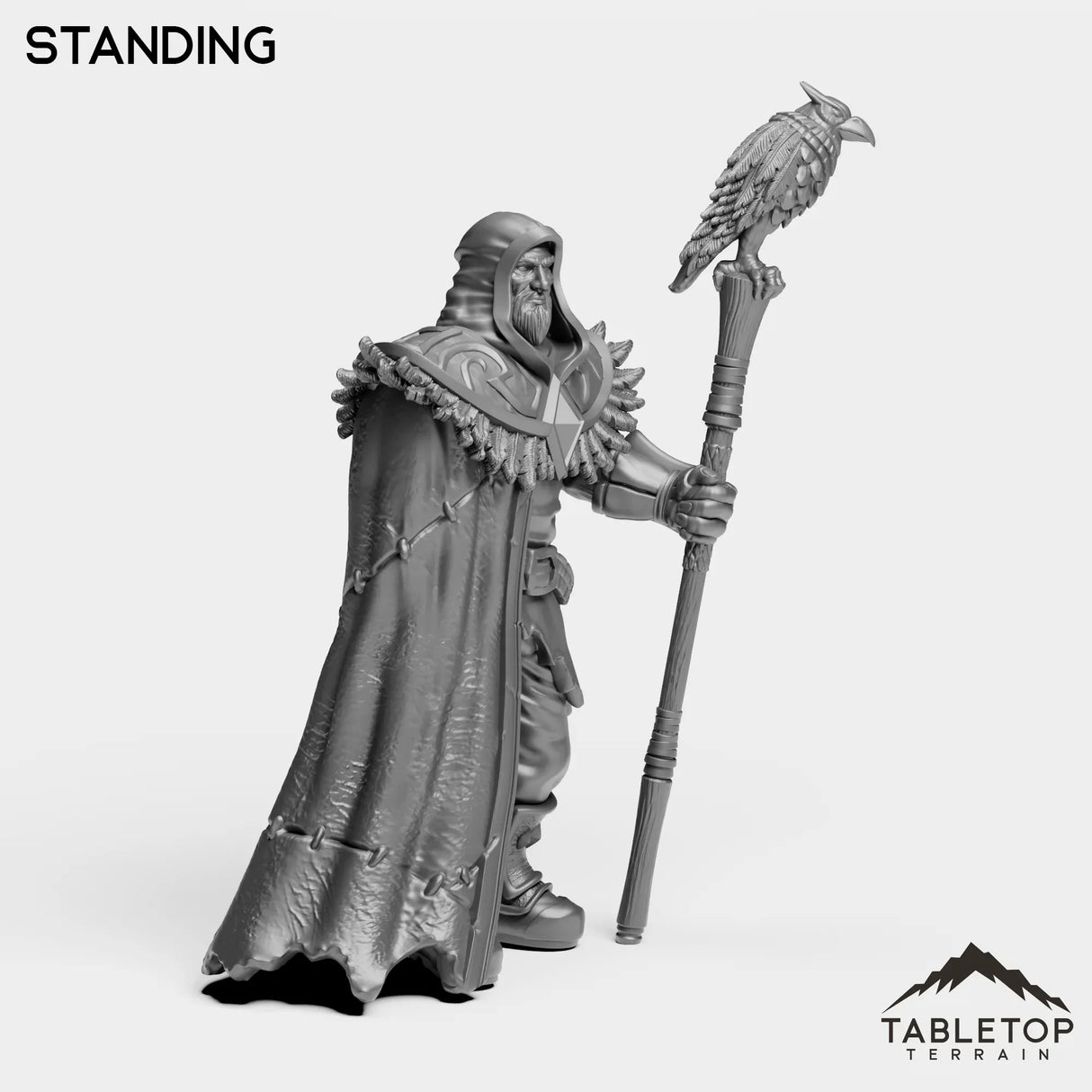 Tabletop Terrain Miniature Wizard Medgar
