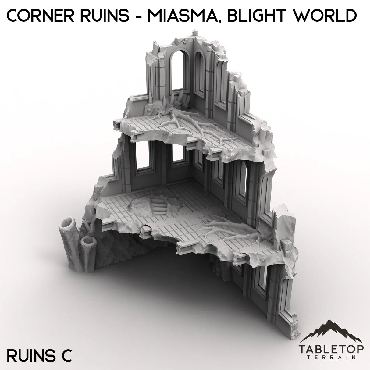 Tabletop Terrain Ruins 28/32mm / Corner Ruins C Corner Ruins - Miasma, Blight World