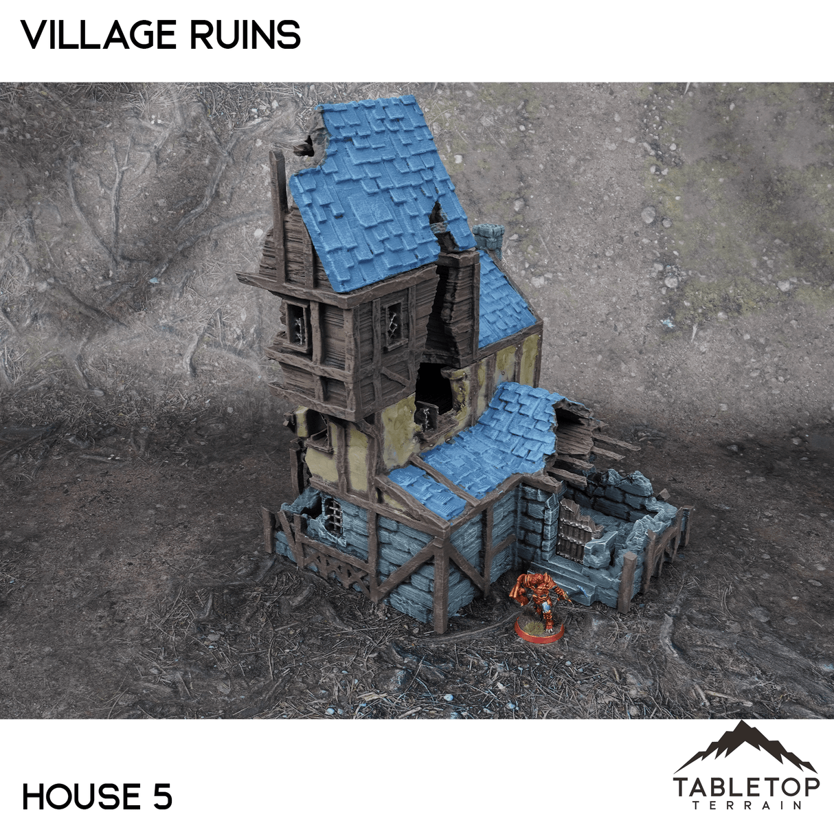Tabletop Terrain Ruins 32mm / House 5 Village Ruins