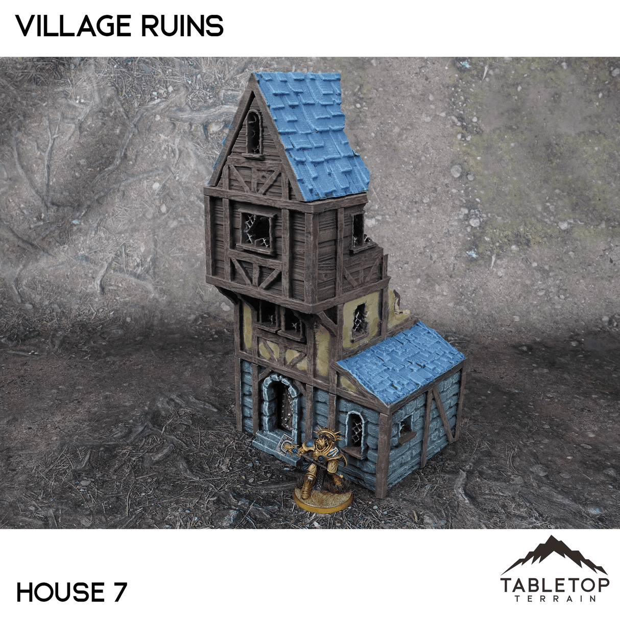 Tabletop Terrain Ruins 32mm / House 7 Village Ruins