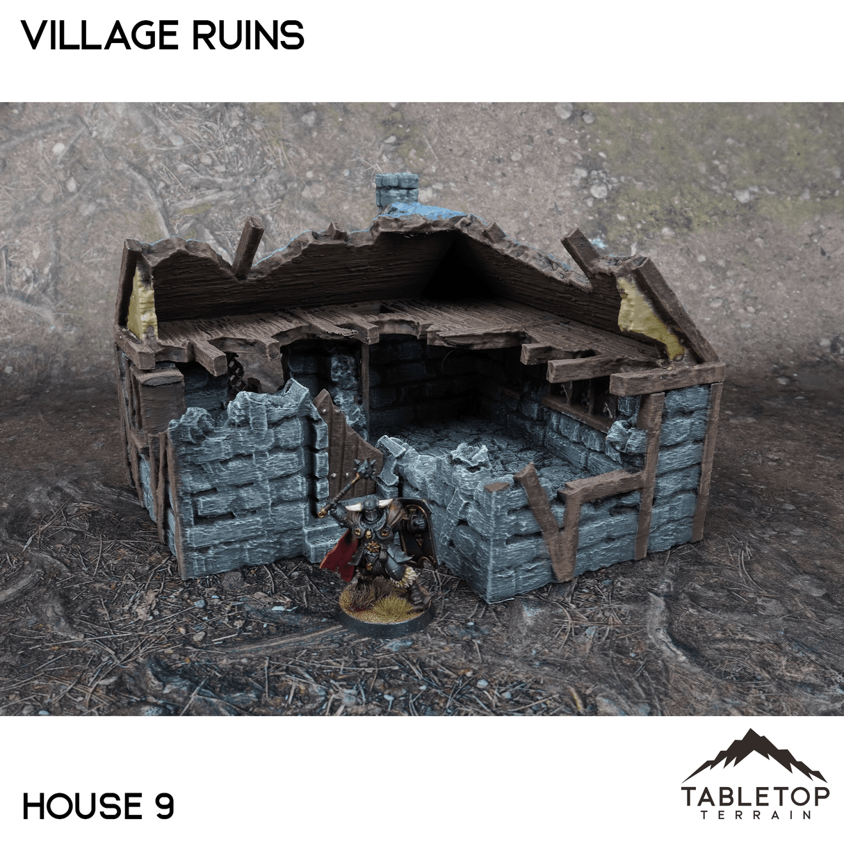 Tabletop Terrain Ruins 32mm / House 9 Village Ruins
