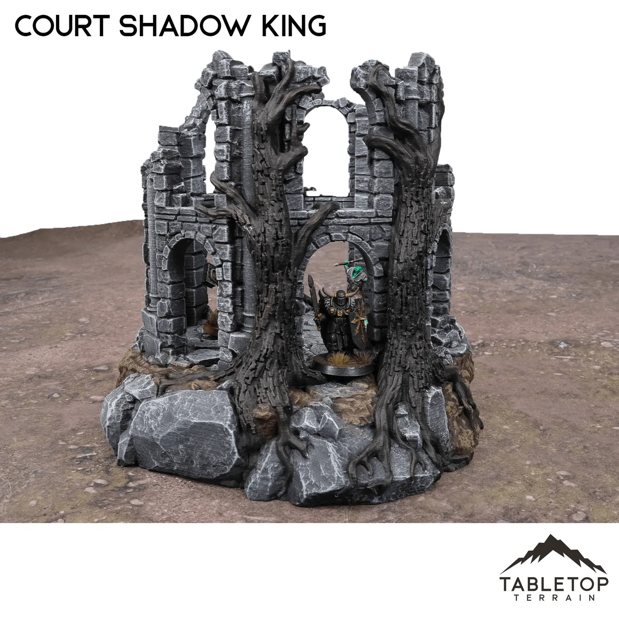 Tabletop Terrain Ruins Court of the Shadow King - Fantasy Terrain