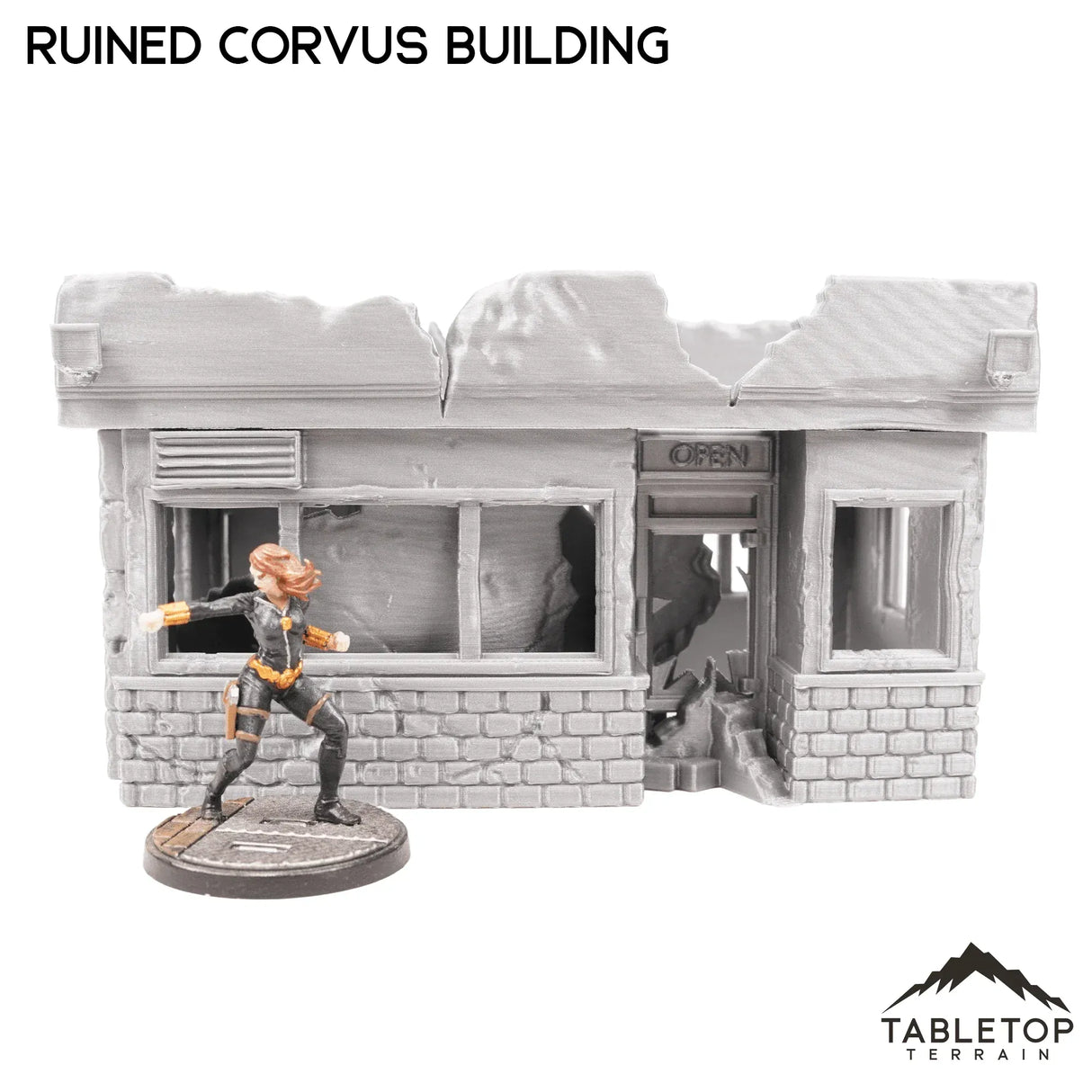 Tabletop Terrain Ruins Ruined Corvus Building