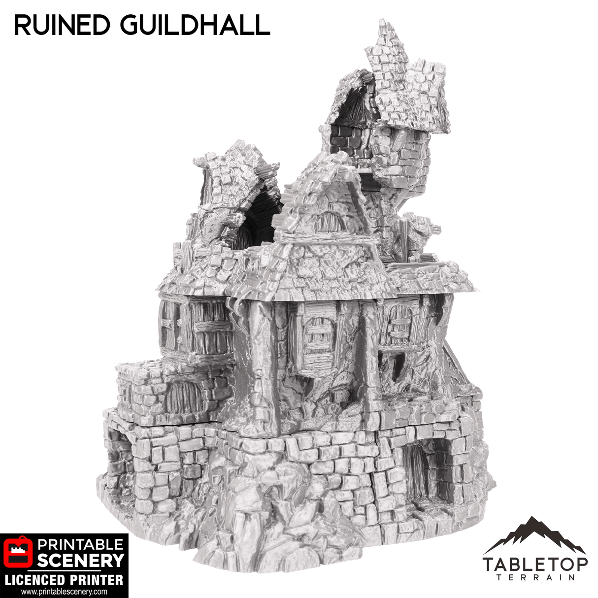 Tabletop Terrain Ruins Ruined Guildhall - Hagglethorn Hollow - Fantasy Ruins