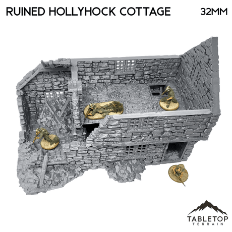 Tabletop Terrain Ruins Ruined Hollyhock Cottage - Country & King - Fantasy Historical Ruins