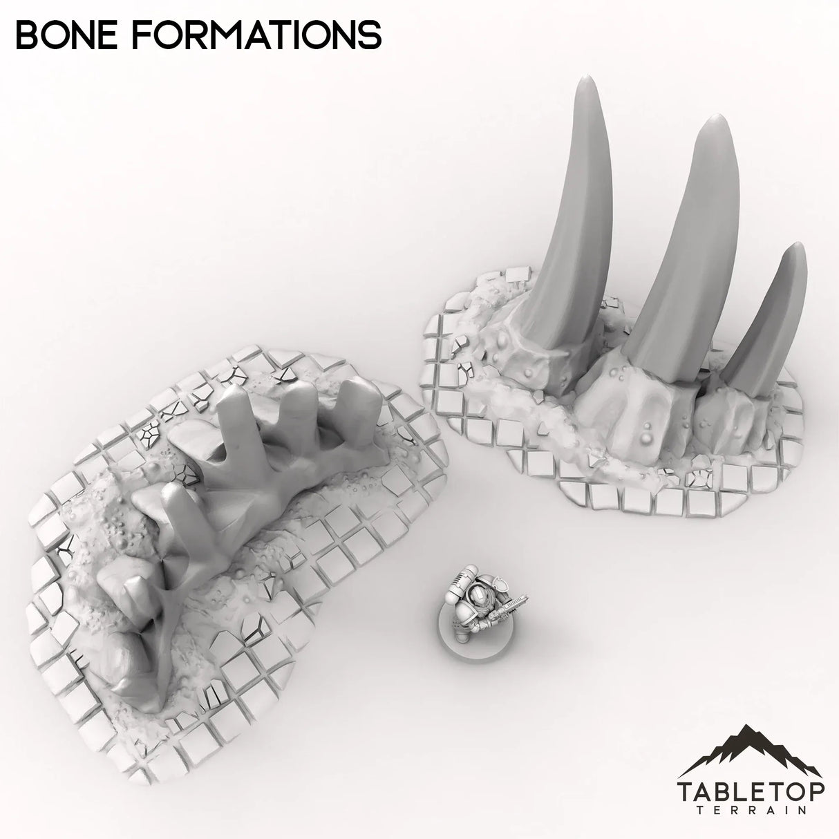 Tabletop Terrain Scatter Terrain Bone Formations - Miasma, Blight World