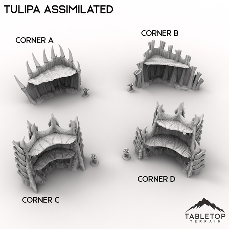 Tabletop Terrain Terrain 28/32mm / Corner Ruins A Tulipa Assimilated